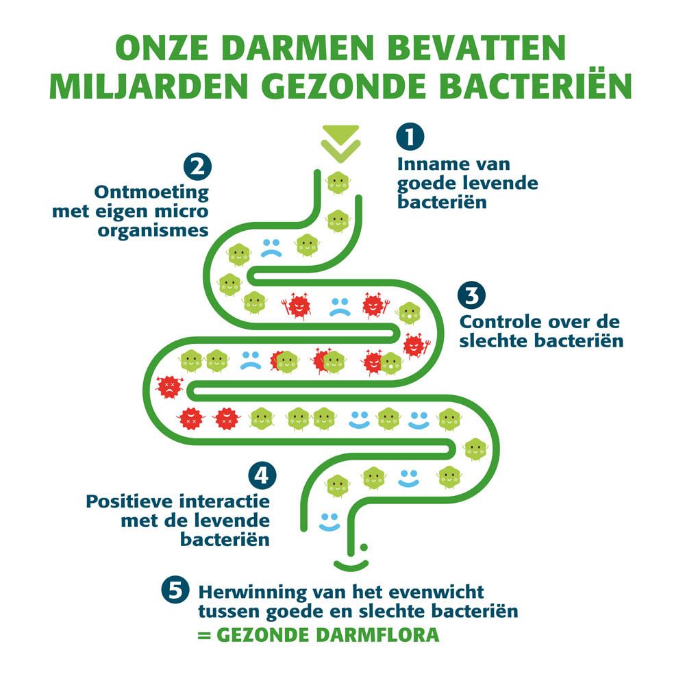 Infographic over darmgezondheid. Nederlandse tekst.