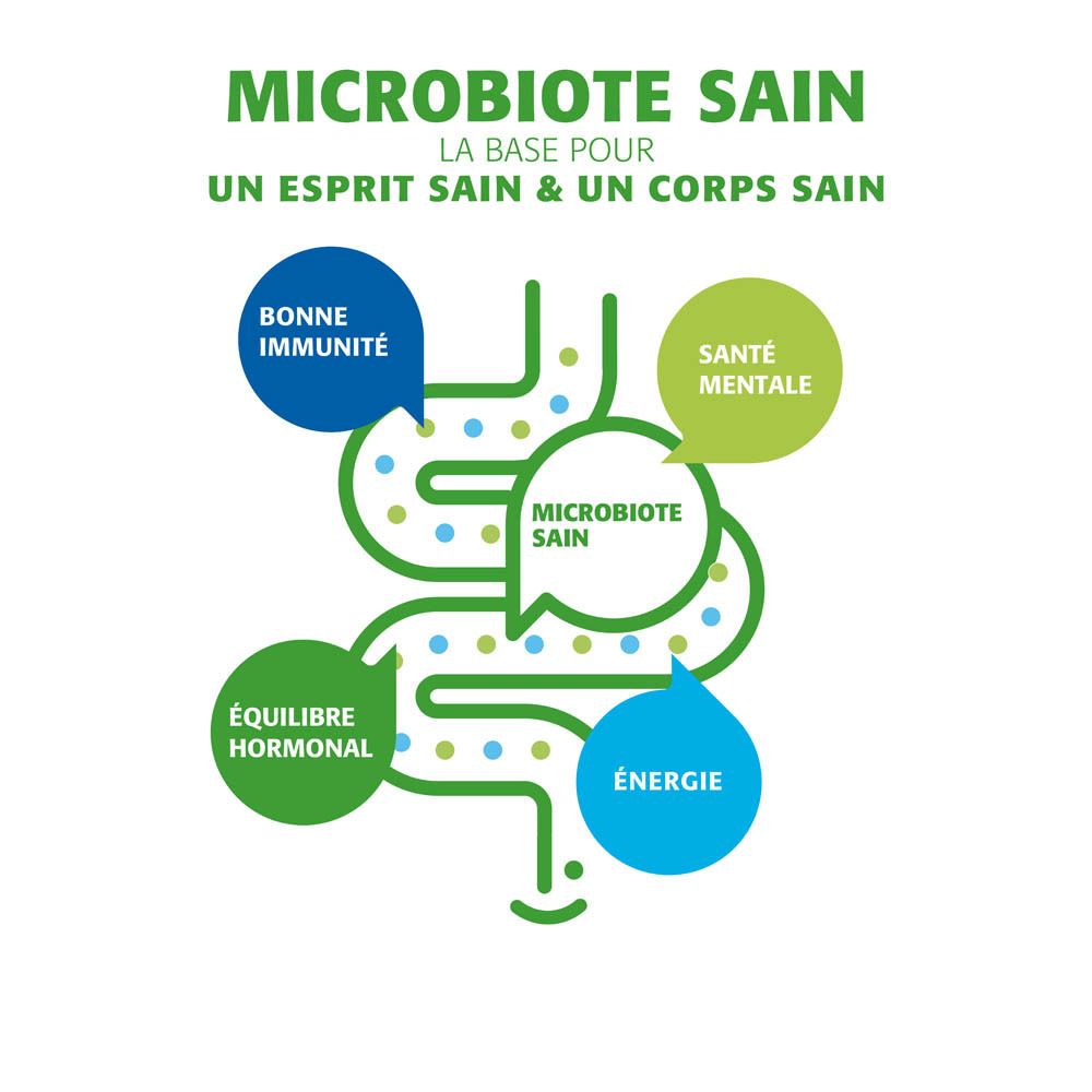 Infographie sur la santé intestinale. Texte en français.