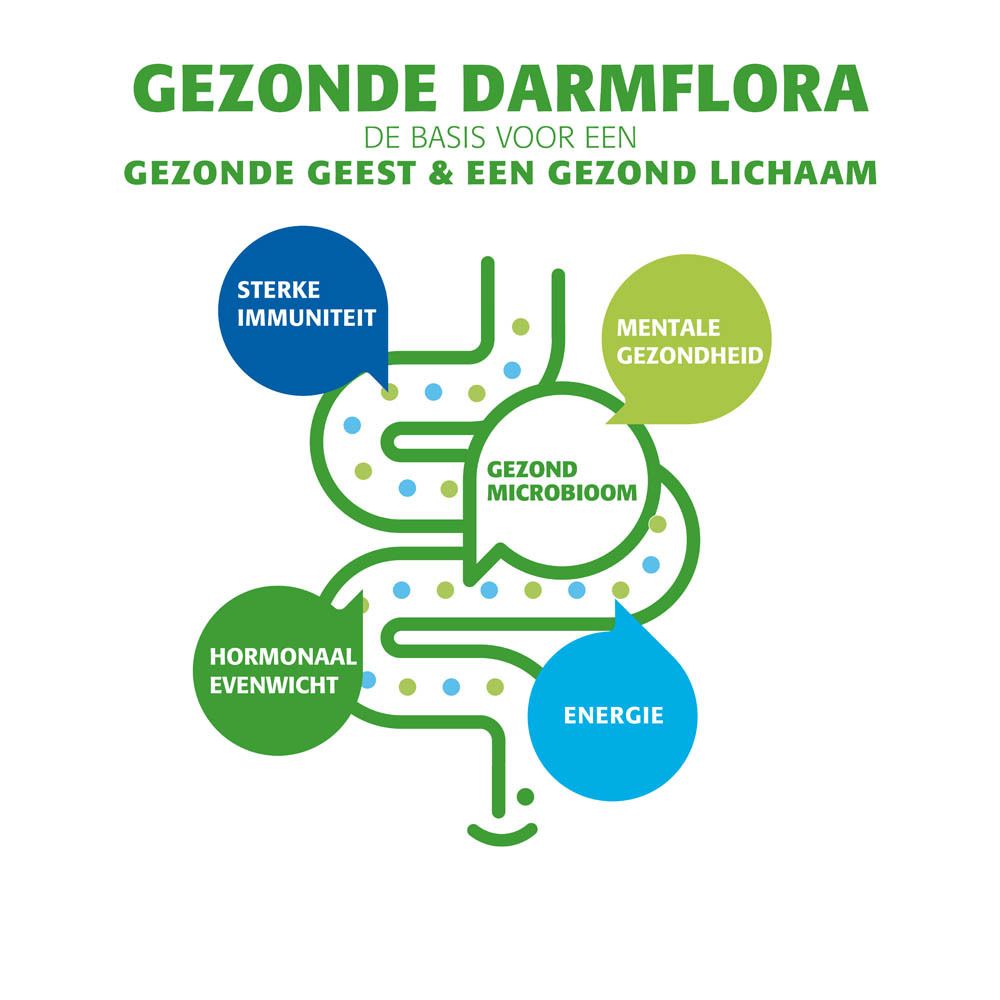 Infographic over darmgezondheid. Nederlandse tekst.