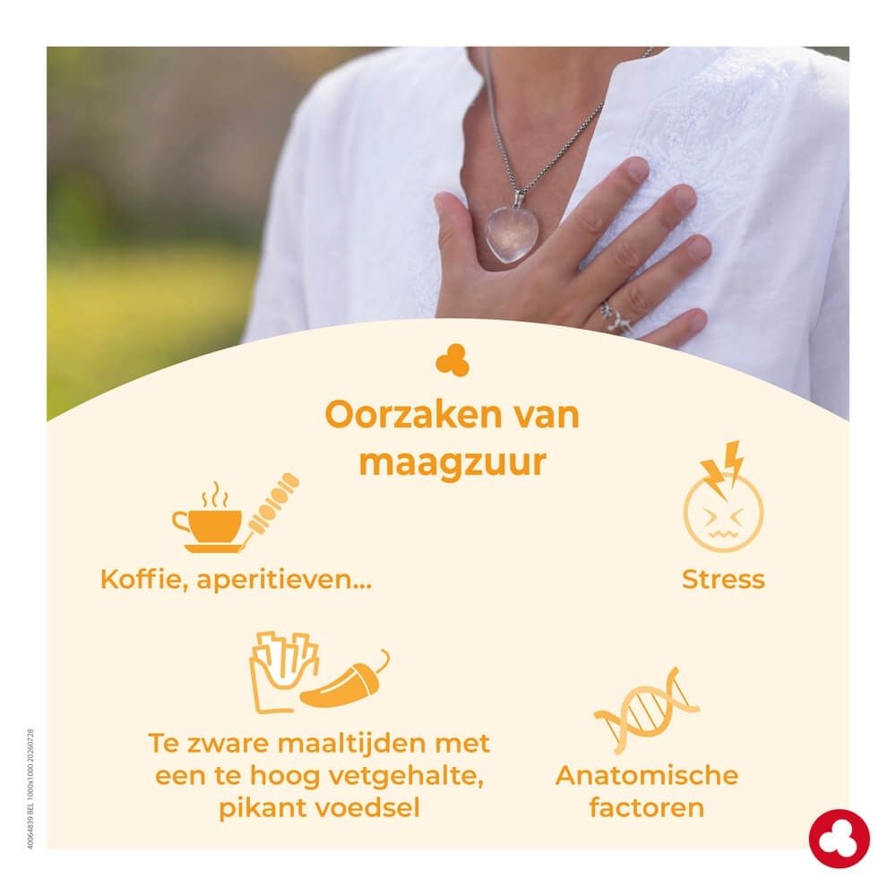 Grafiek met oorzaken van maagzuur, bv. koffie, stress, zware maaltijden.