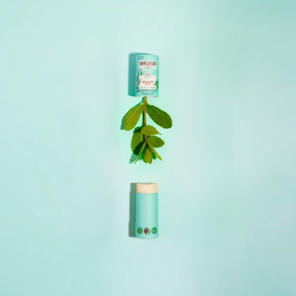 Deux emballages de déodorant stick, un ouvert, un fermé, avec une branche. Fond vert menthe. Inscription: WELEDA, Déodorant Stick.