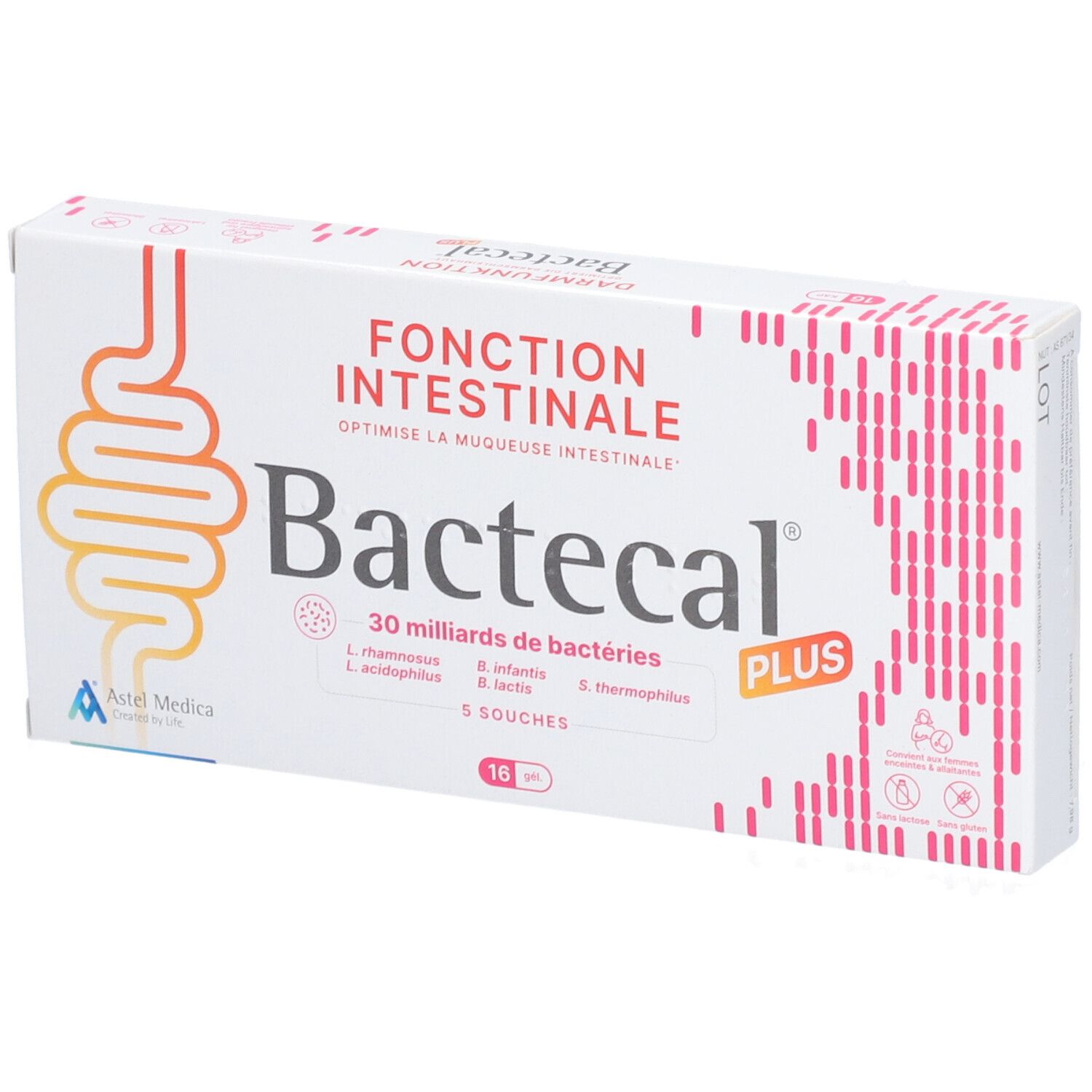 Bactecal Plus Verpackung mit Darm-Symbol und Text 'Fonction Intestinale'.
