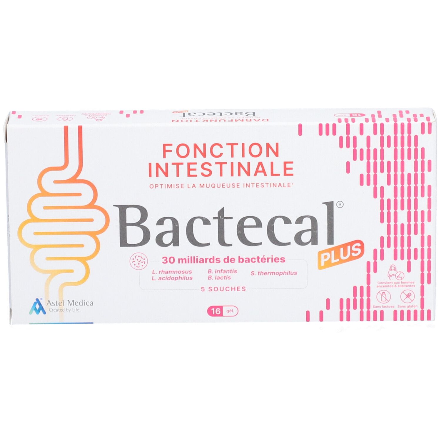Bactecal Plus Verpackung mit Darm-Symbol und Text 'Fonction Intestinale'.