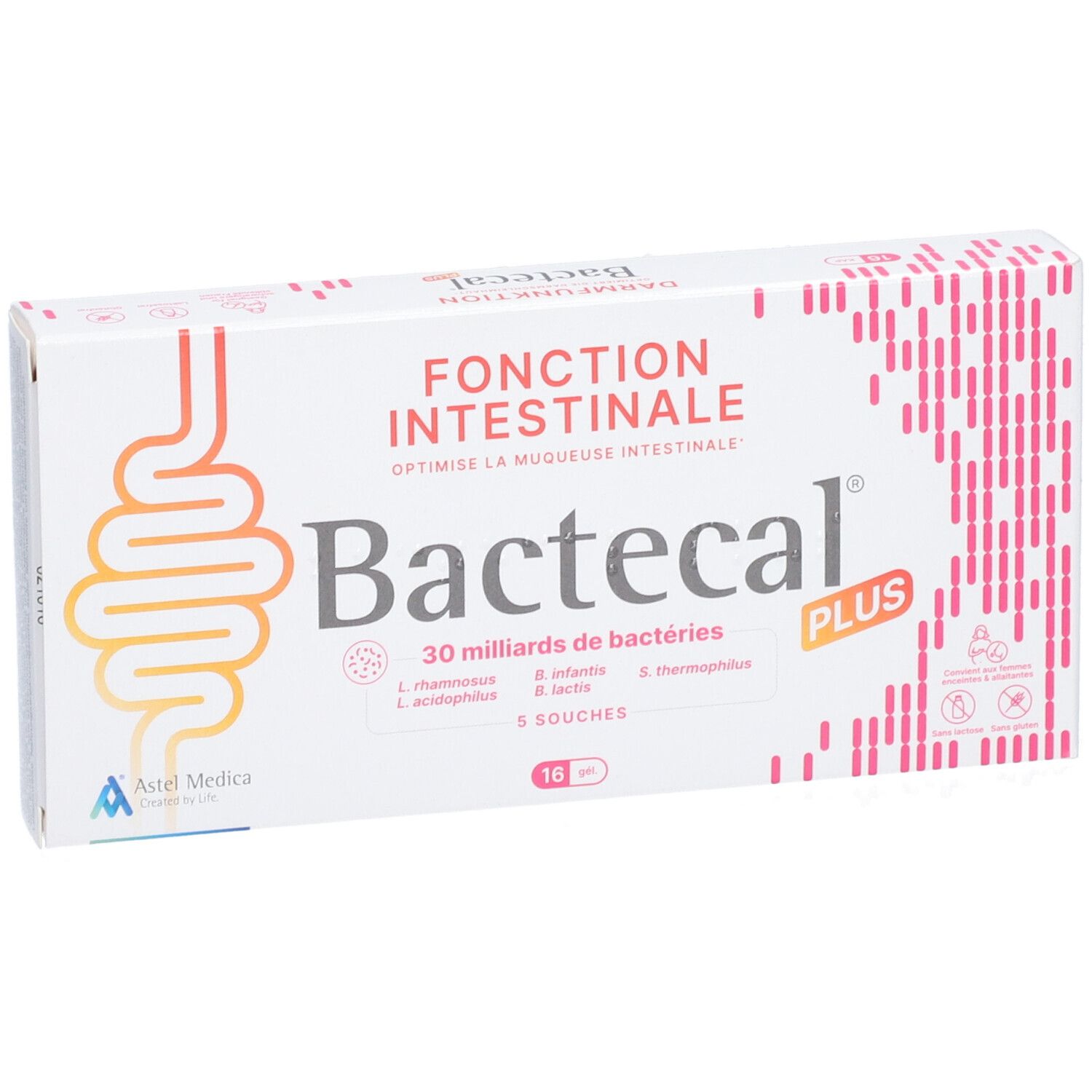 Bactecal Plus Verpackung von der Seite, mit Darm-Symbol und Text.