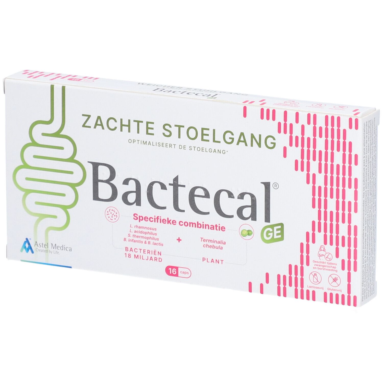 Boîte de Bactecal. Inscription: Zachte Stoelgang, 16 comprimés, 18 milliards de bactéries. Logo de l'intestin.