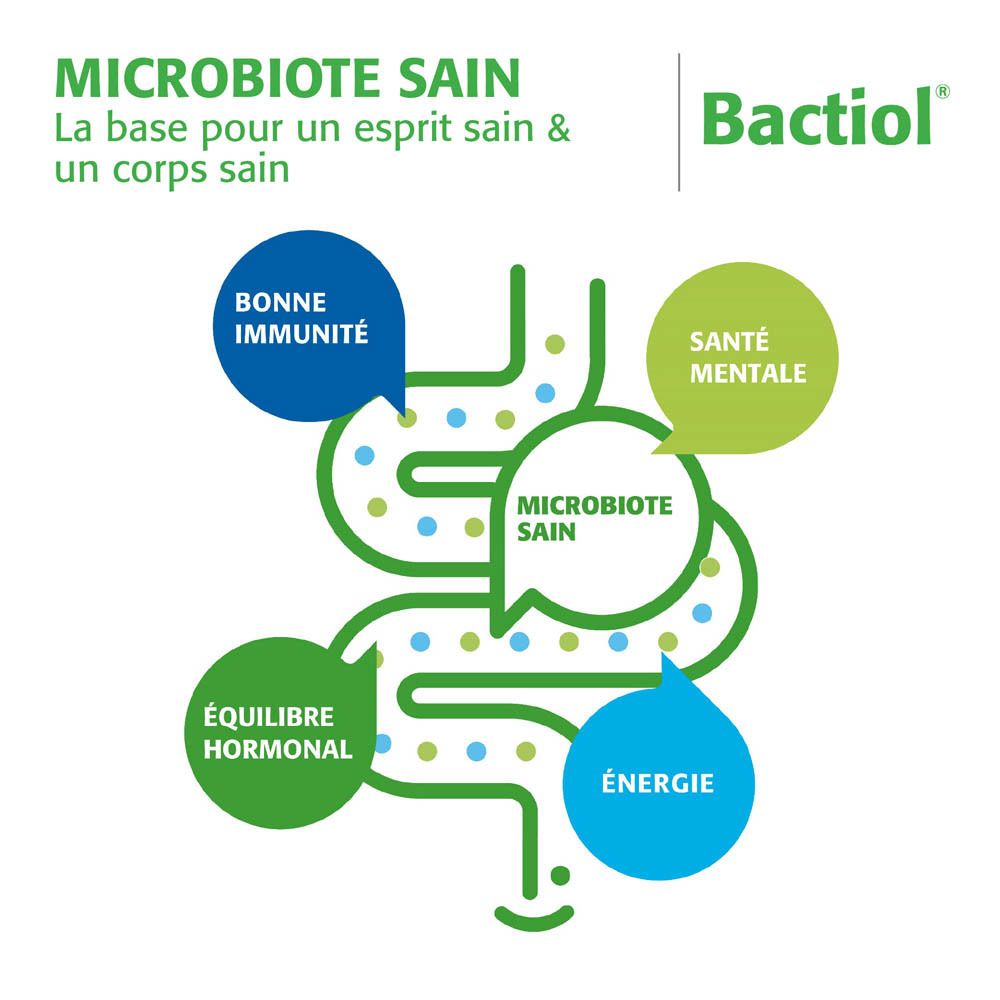 Graphique : Flore intestinale saine. Base pour un esprit sain et un corps sain. Bactiol. Bonne immunité, énergie.
