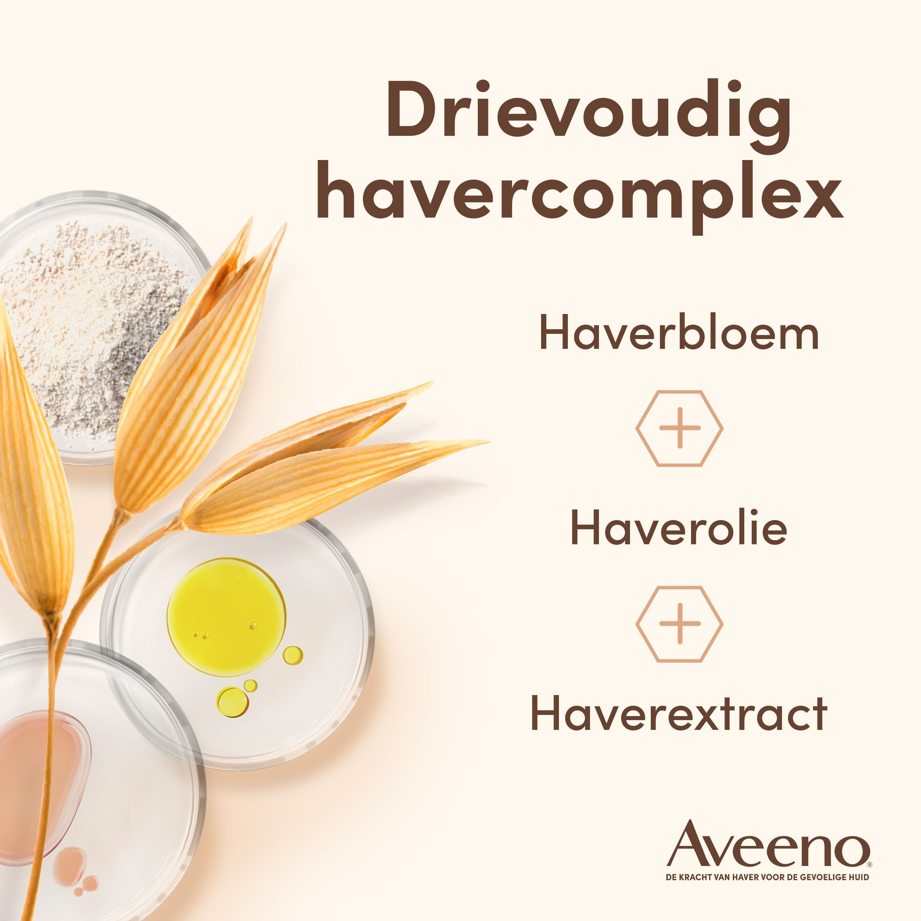 Close-up van drie schalen met havercomplex ingrediënten: haverbloem, haverolie, haverextract.