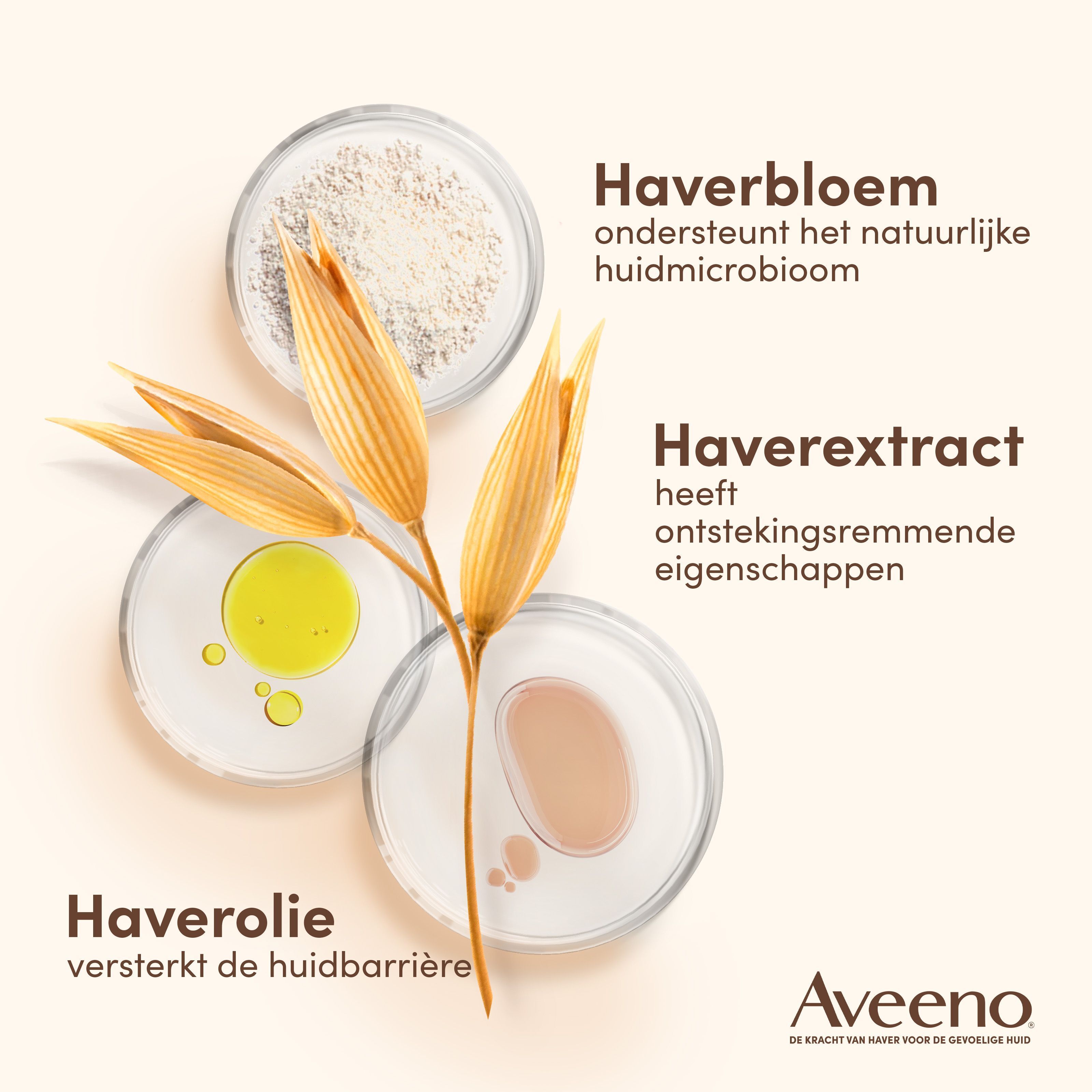 Close-up van drie schalen met havercomplex ingrediënten. Tekst: Haverbloem, Haverolie, Haverextract.
