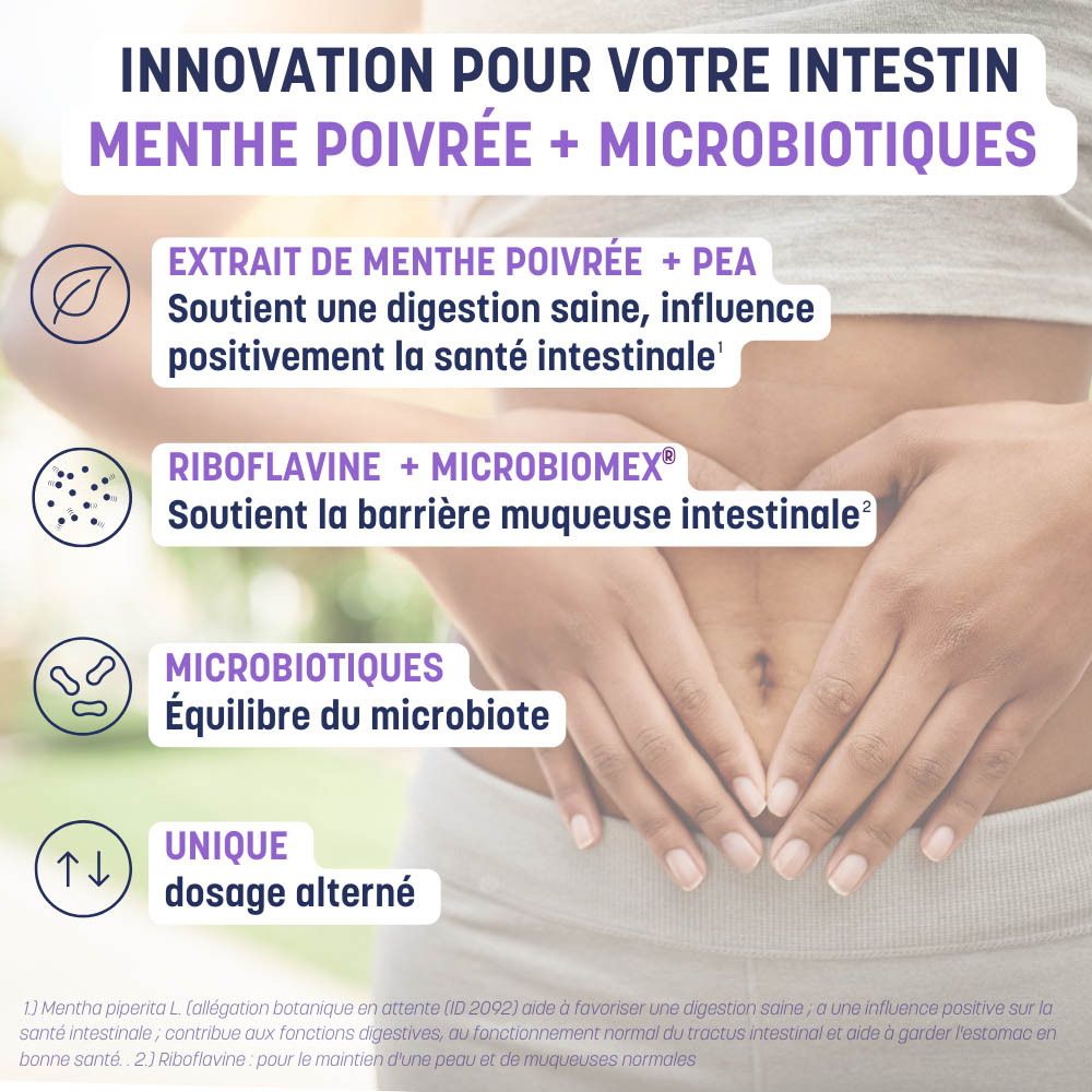 Infographie : bienfaits pour l'intestin. Menthe poivrée + microbiotiques. Illustrations et texte.