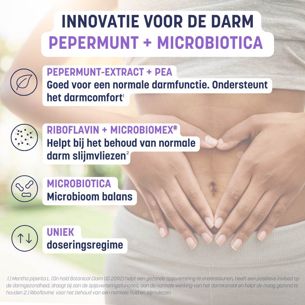 Infographic: voordelen voor de darm. Pepermunt + micro-organismen. Illustraties en tekst.