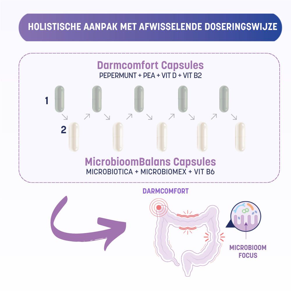 Infographic: holistische aanpak met afwisselende dosering. Capsules en darmillustratie.