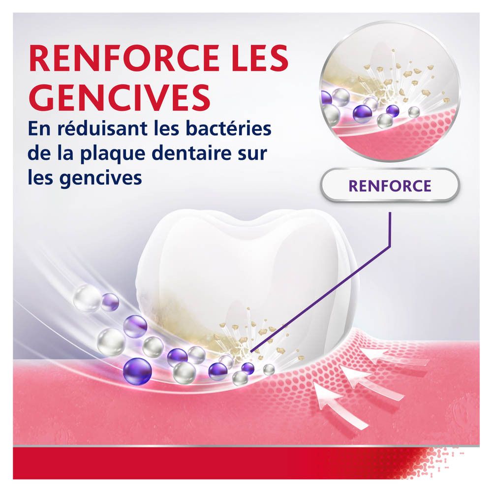 Tube et boîte de dentifrice Parodontax, Fresh Mint. Blanc, rouge, violet. 75 ml.