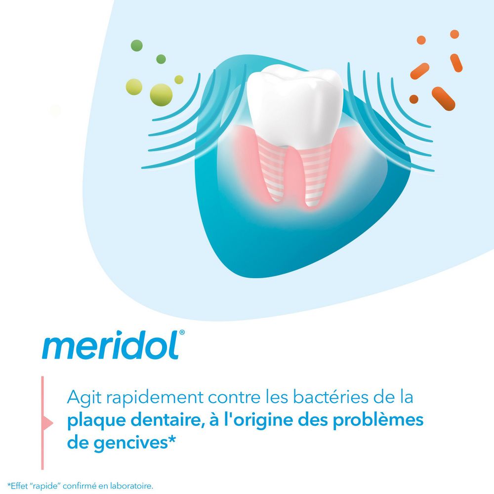 meridol® Dentifrice Protection Gencives