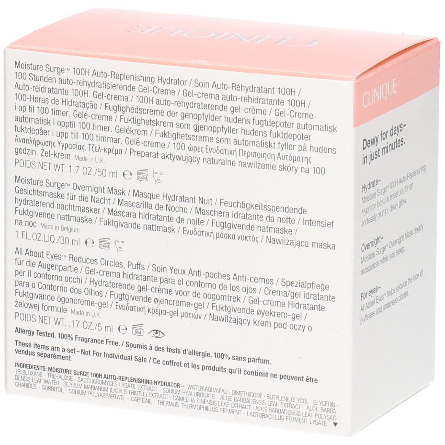 Rückseite der Clinique Geschenkbox. Auflistung der Inhaltsstoffe und Produktinformationen in mehreren Sprachen.