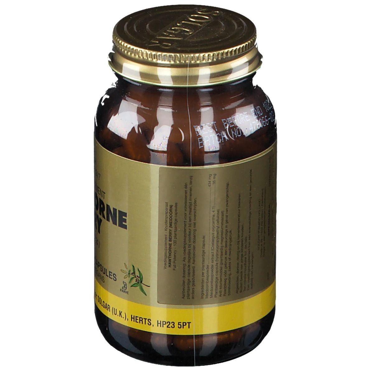 Bruine glazen fles met gouden dop. Etiket met tekst en informatie. Merk: SOLGAR.