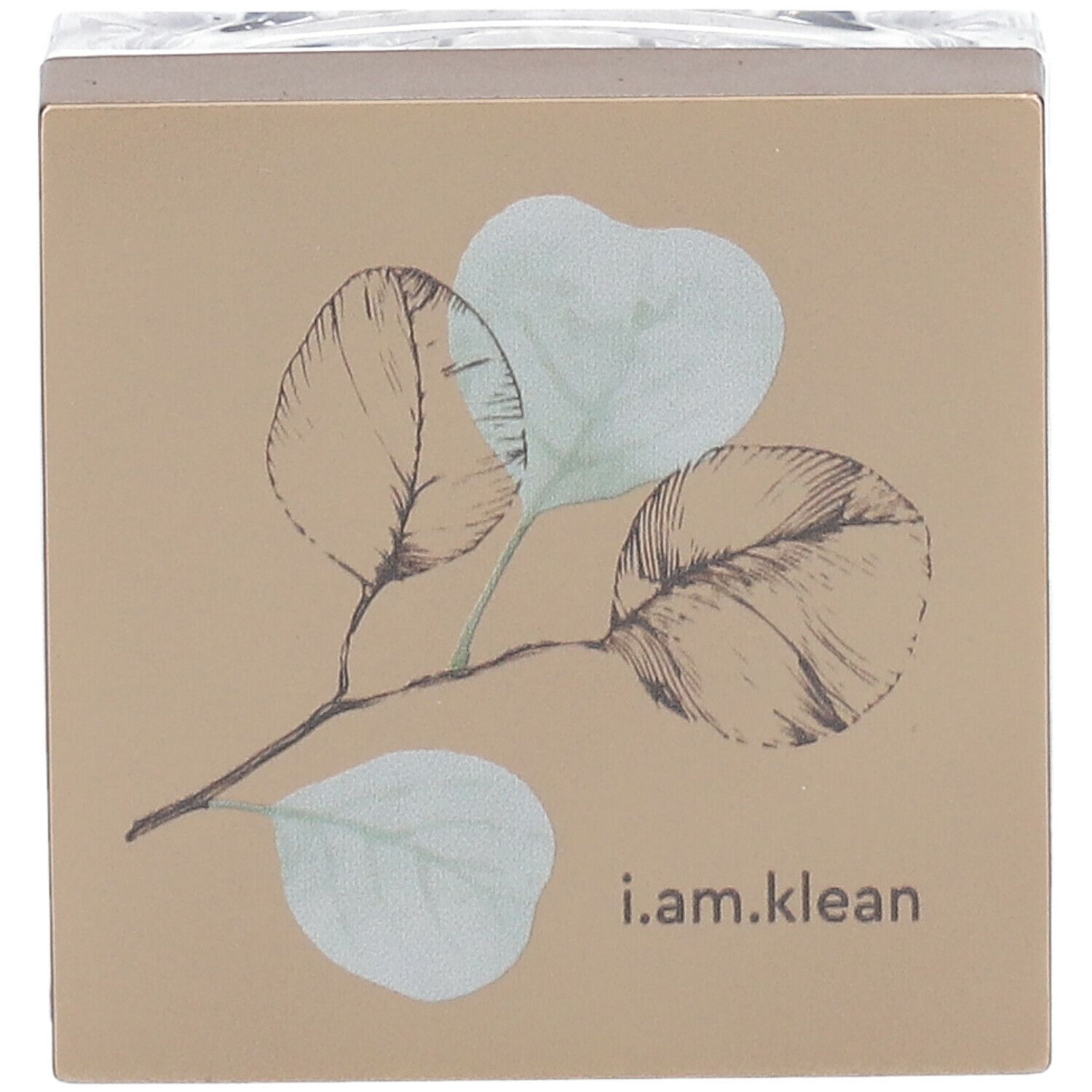 Boîte carrée avec couvercle. Impression de feuilles et i.am.klean. Récipient transparent.