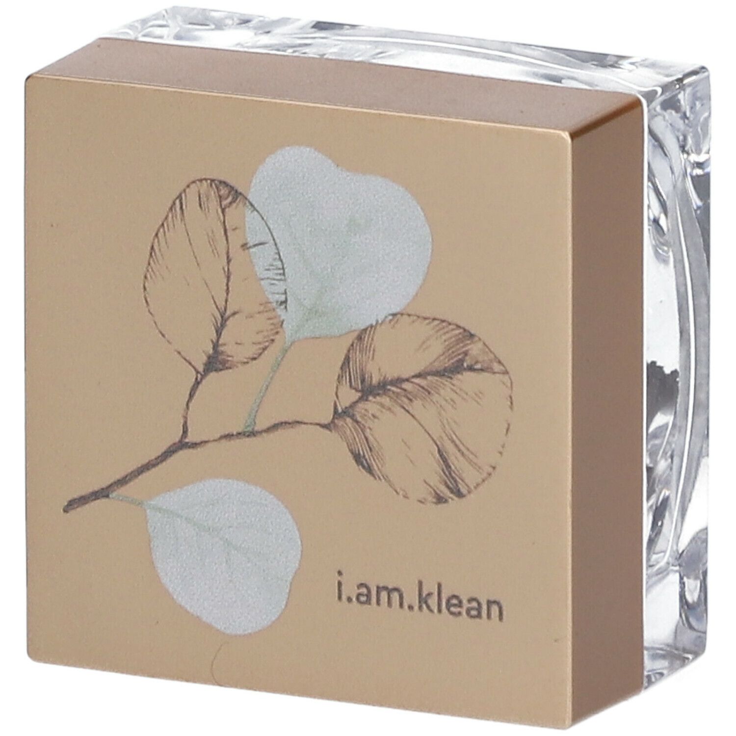 i.am.klean Loose Mineral Eyeshadow Tuned in