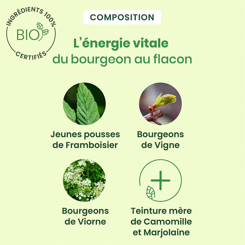 Graphique avec quatre images: feuilles, bourgeons, fleurs. Texte: L'énergie vitale du bourgeon au flacon. Certification Bio.