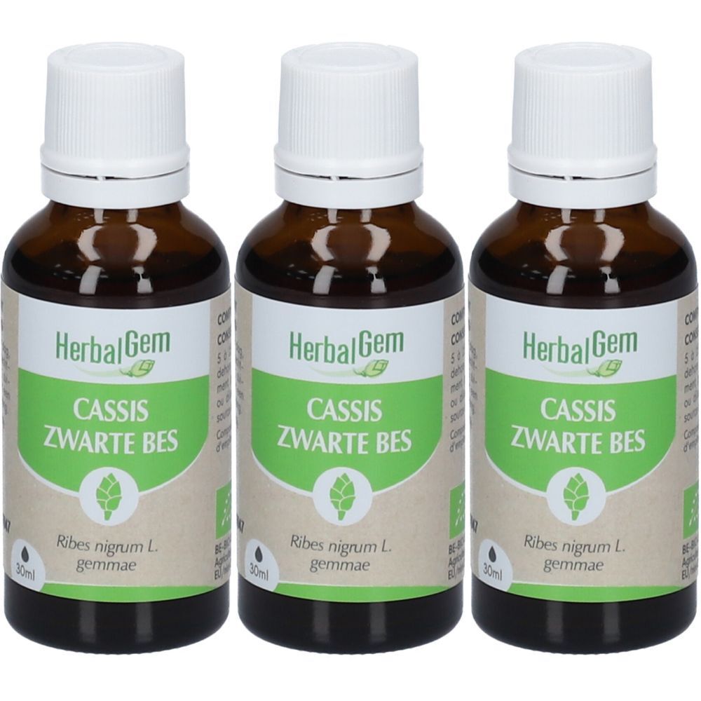 Drei braune Glasflaschen mit weißen Deckeln. Etiketten mit "HerbalGem", "Cassis Zwarte Bes" und grünen Akzenten. 30ml.