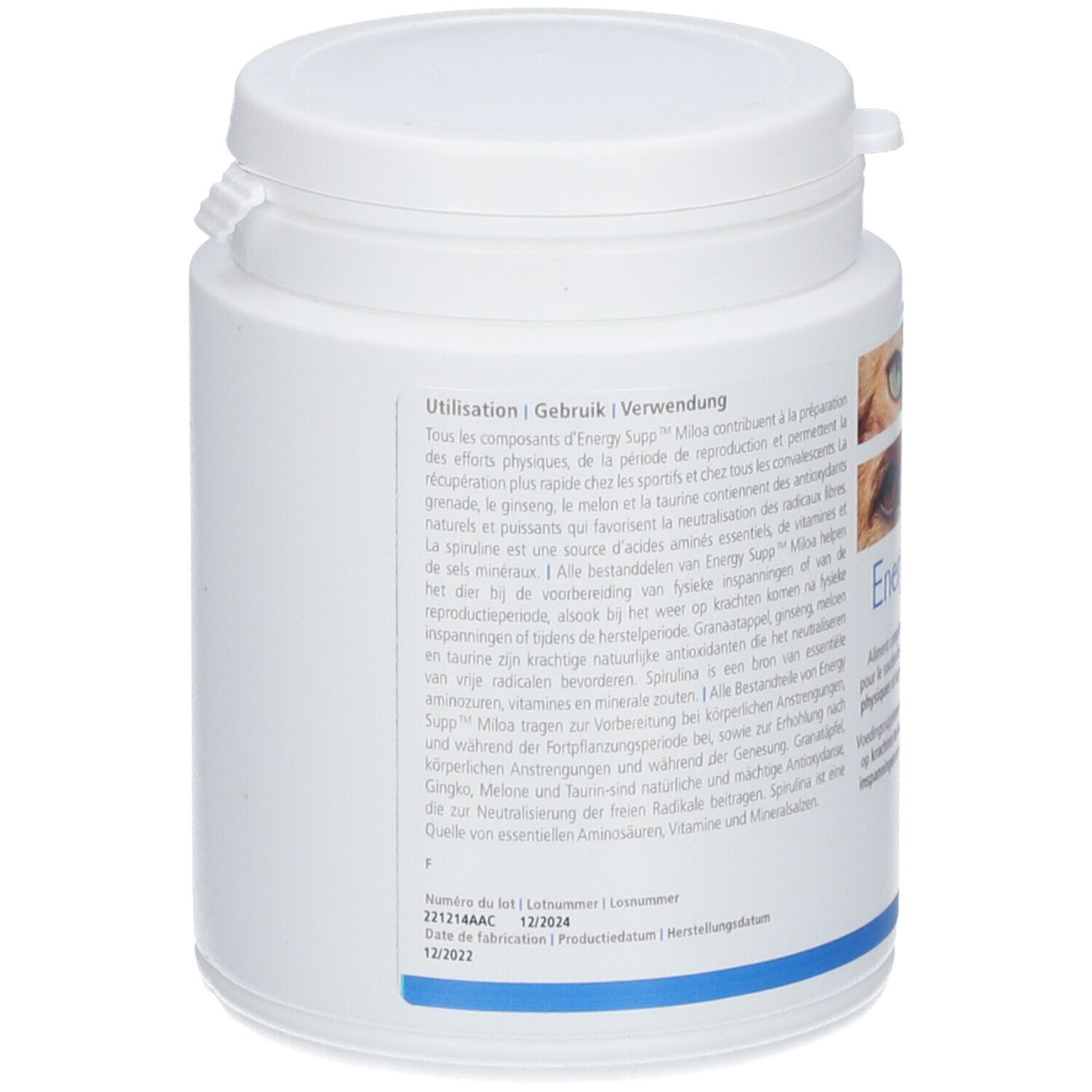 Weiße Dose mit Deckel. Text in mehreren Sprachen. Aufschrift "Energy Supp". Informationen zu Inhaltsstoffen und Haltbarkeit.