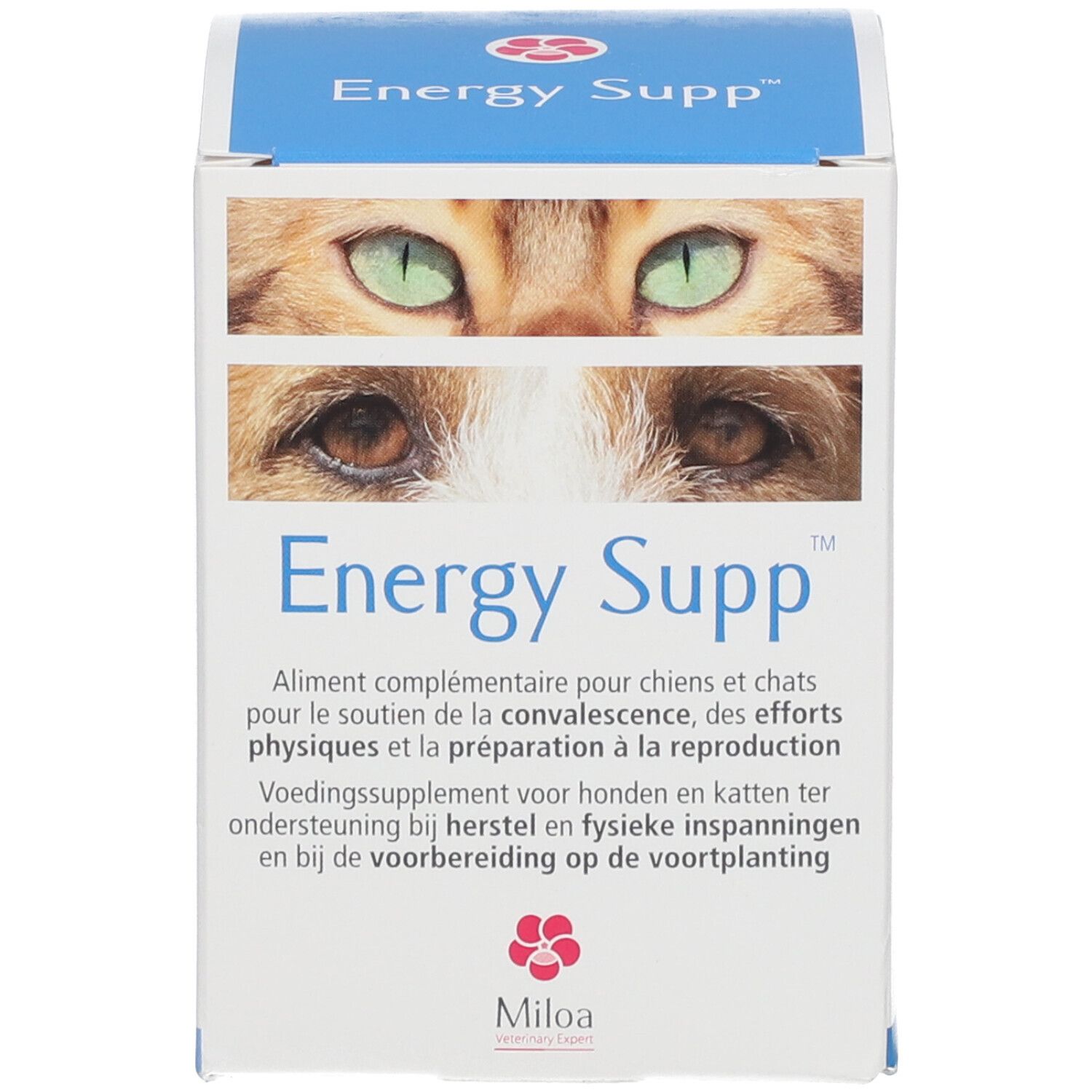 Blaue Schachtel. Aufschrift "Energy Supp" und Augen einer Katze. Text in mehreren Sprachen. Marke: Miloa.