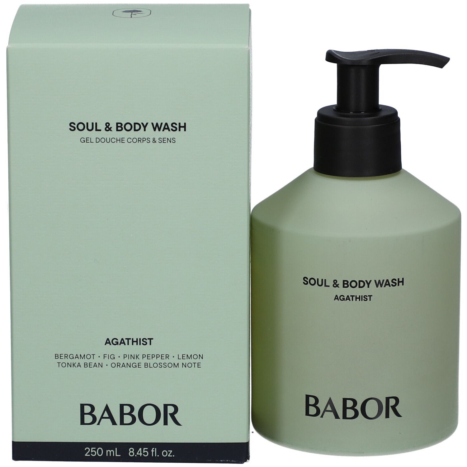 Hellgrüne Schachtel und Flasche mit schwarzem Pumpkopf. Aufschrift: Soul & Body Wash Agathist, Babor.