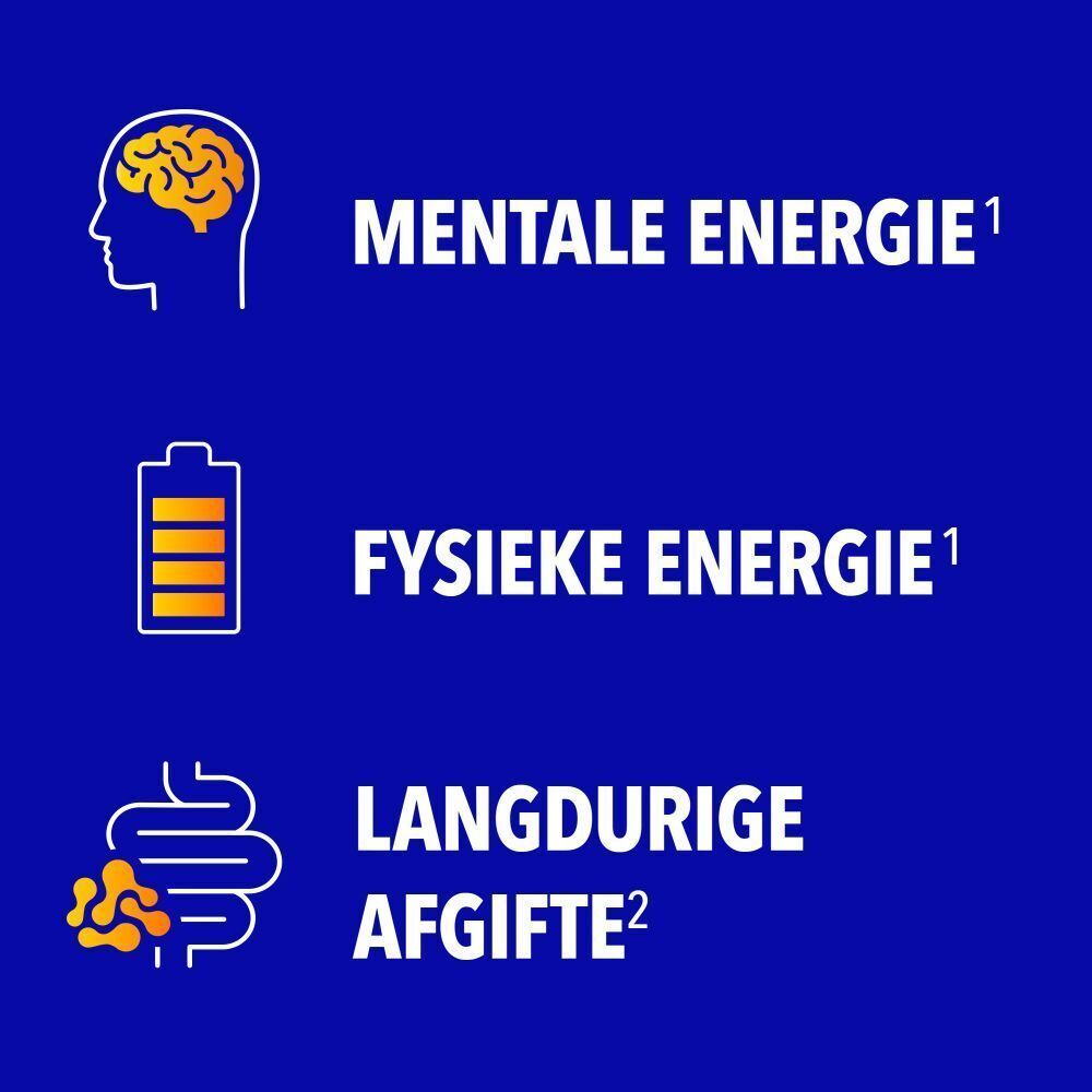 Grafiek met symbolen: Mentale energie, Fysieke energie, Langdurige afgifte.