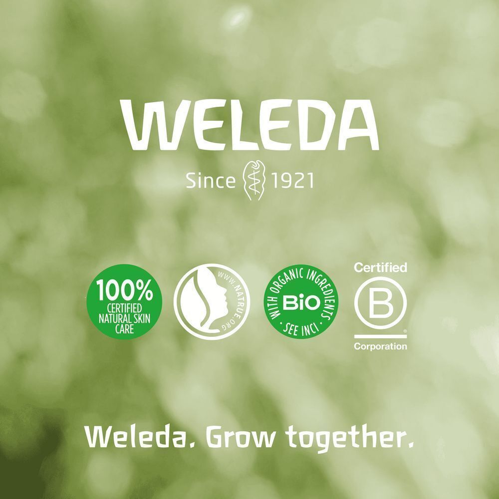 Grüner Hintergrund mit Logos: 100% Certified Natural Skin Care, NATRUE, with organic ingredients, und B Corp.
