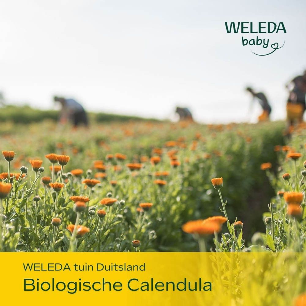 WELEDA Baby Calendula Reinigingsmelk in pompfles, met lieveheersbeestje en bloemmotief.