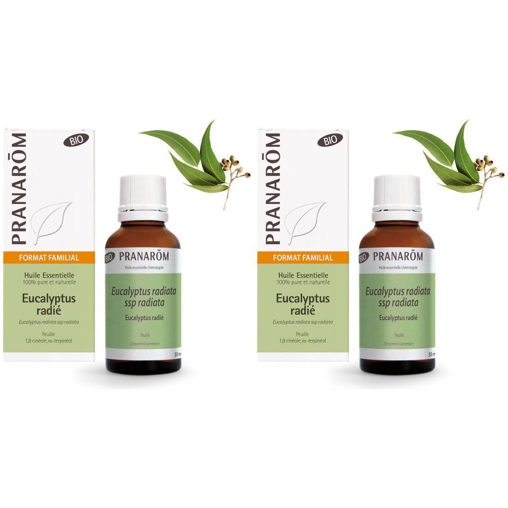 Pranarom Ätherisches Öl Eukalyptus radiata