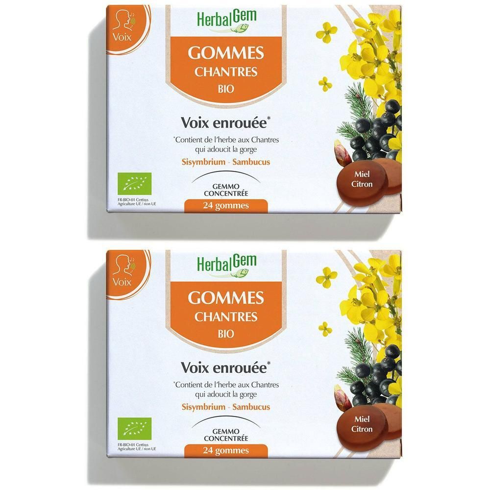 Deux boîtes de gommes à mâcher HerbalGem. Inscription : Gommes Chantres Bio, 24 gommes. Avec fleurs jaunes et baies noires.