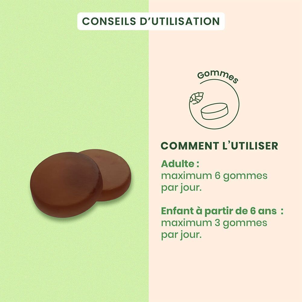 Illustration des ingrédients : herbes, bourgeons, essence de citron. Certification bio.