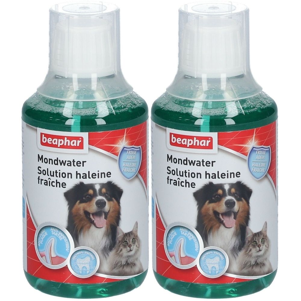 beaphar® Frischer Atem Lösung für Hund und Katze