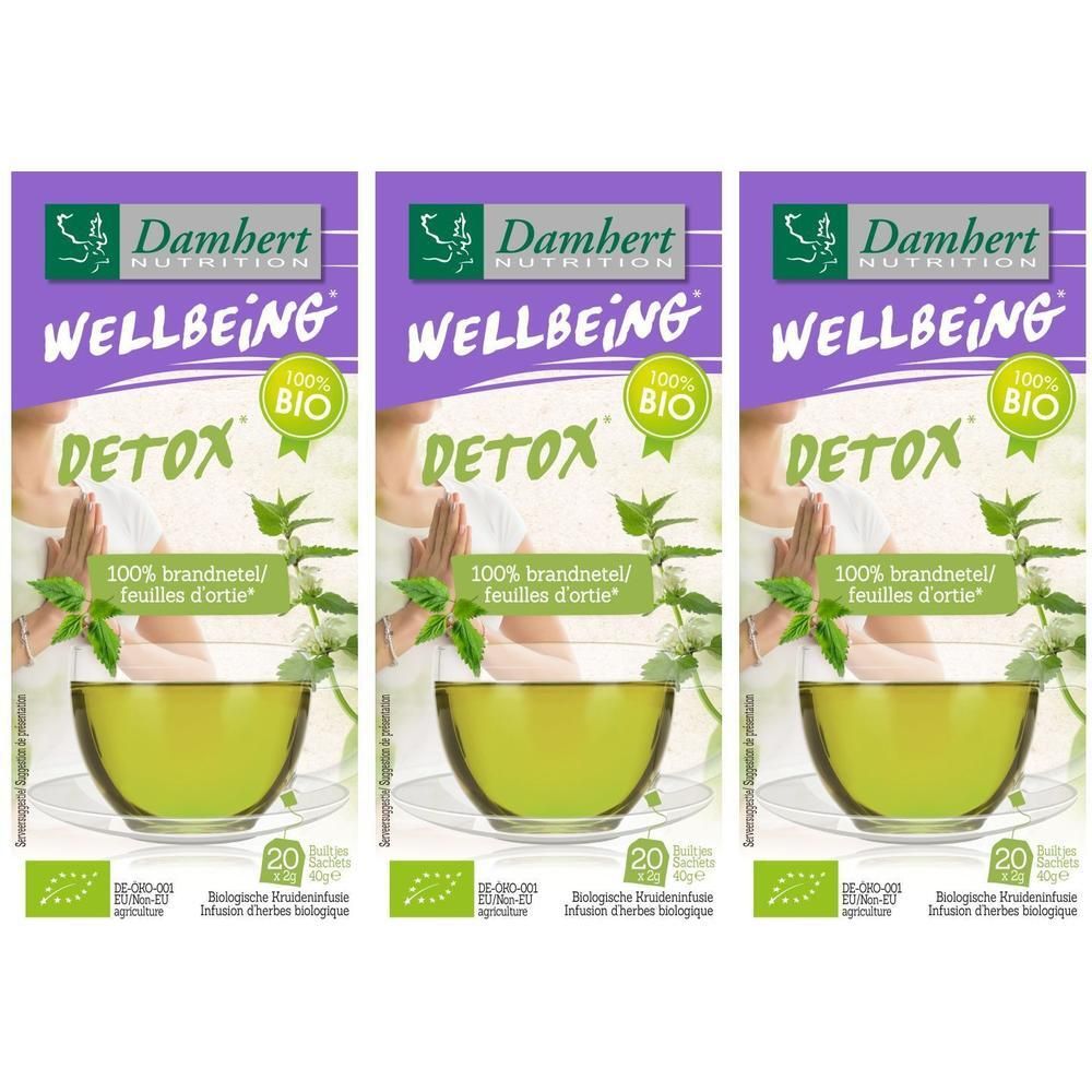 Damhert Tea Time Thee Brandnetel 20 zakjes Bio x3 3x20 St Filterbeutel