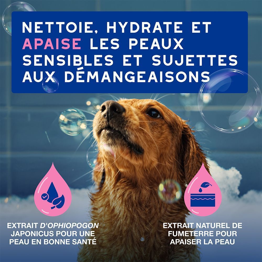 Chien dans une baignoire, informations produit sur le nettoyage de la peau.