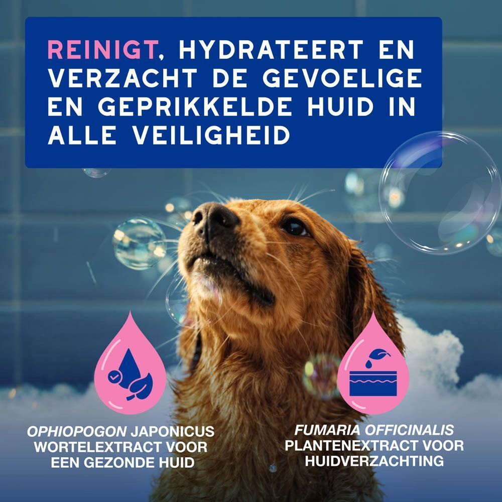Douxo Skin & Coat Spa: Reinigt, hydrateert en verzacht de gevoelige en geïrriteerde huid in alle veiligheid.