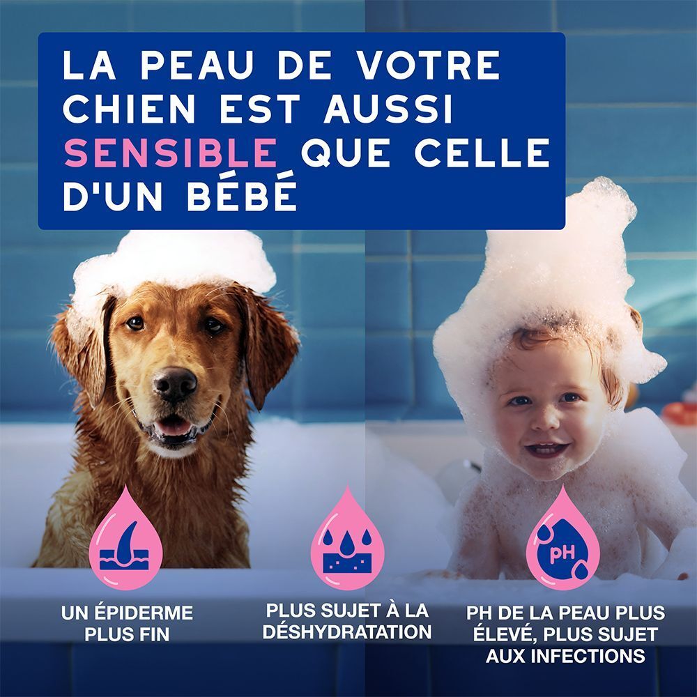 Chien et bébé dans un bain moussant, comparaison de la sensibilité de la peau.