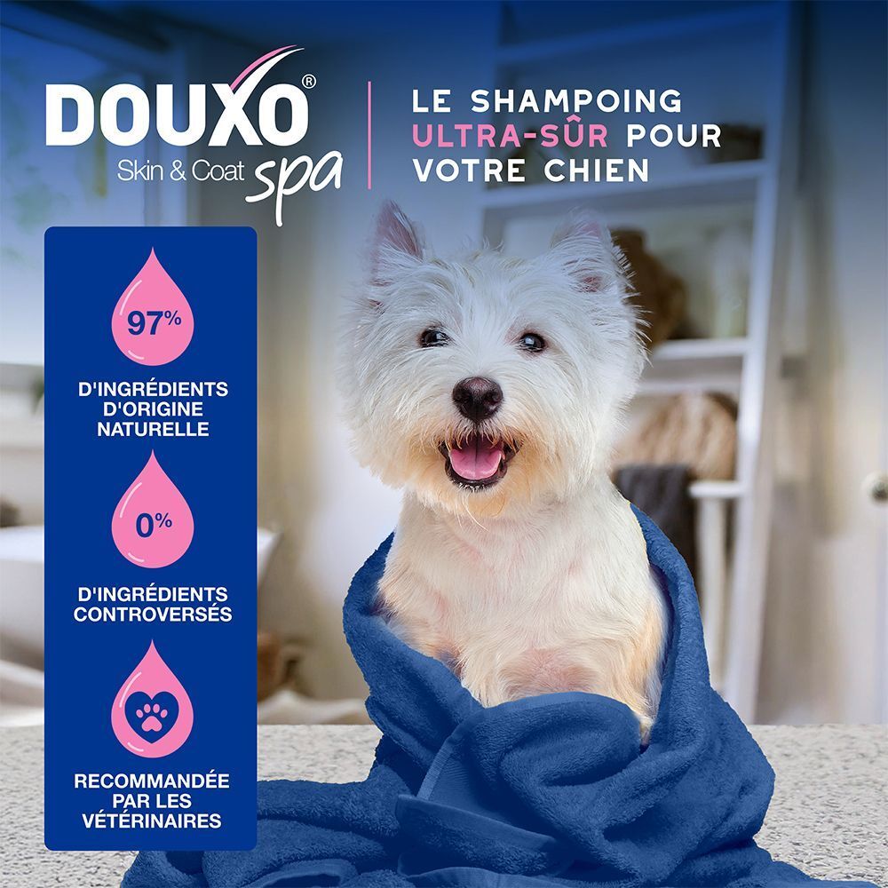 Chien avec de la mousse sur la tête, informations produit sur le shampooing.