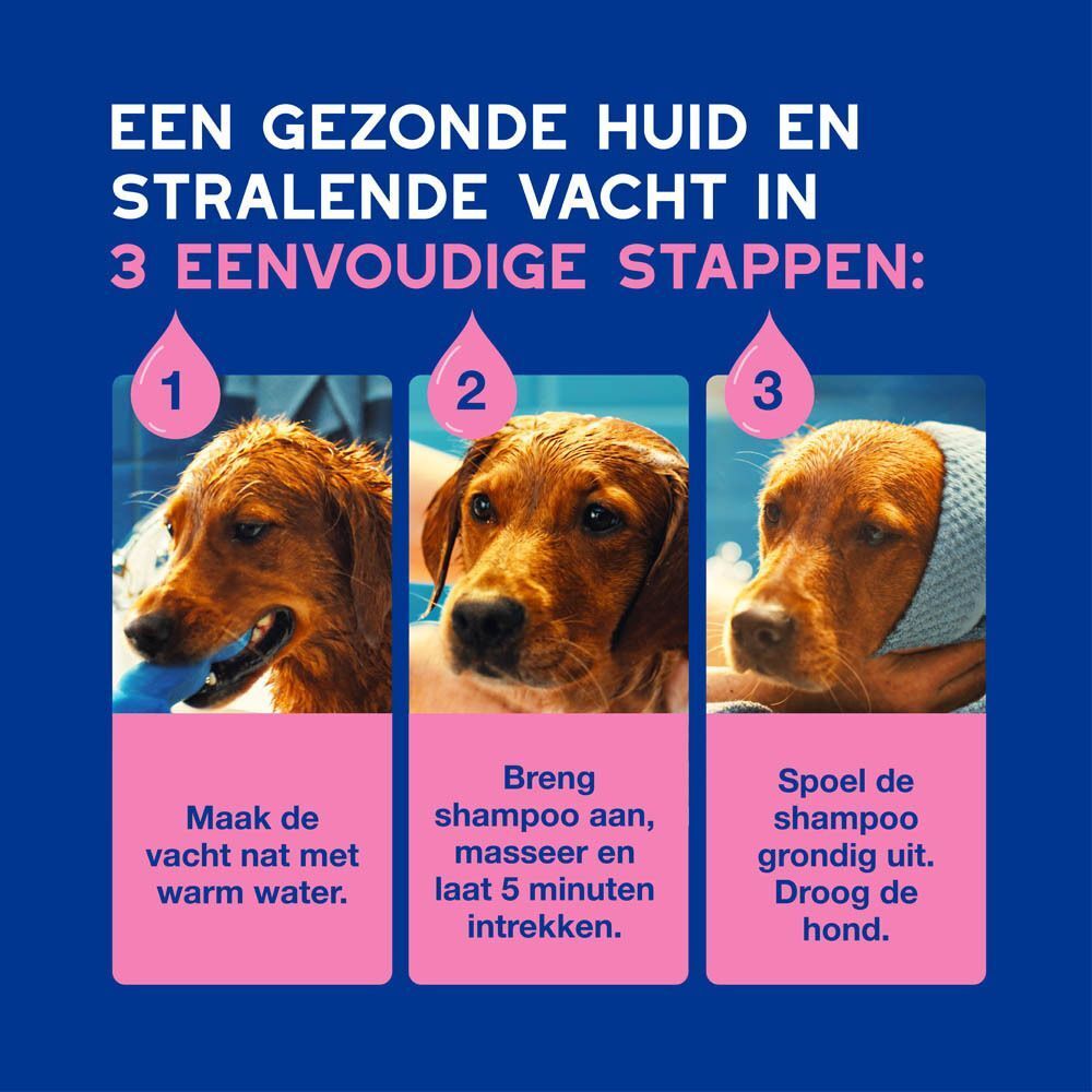 Drie stappen voor vachtverzorging: maak vacht nat, breng shampoo aan, spoel en droog de hond.