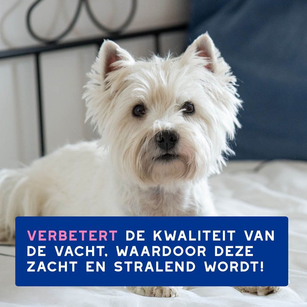 DOUXO® S3 CALM schuim voor honden met gevoelige huid. "Safe Skincare Selection" met "Ophytrum S3" extract.