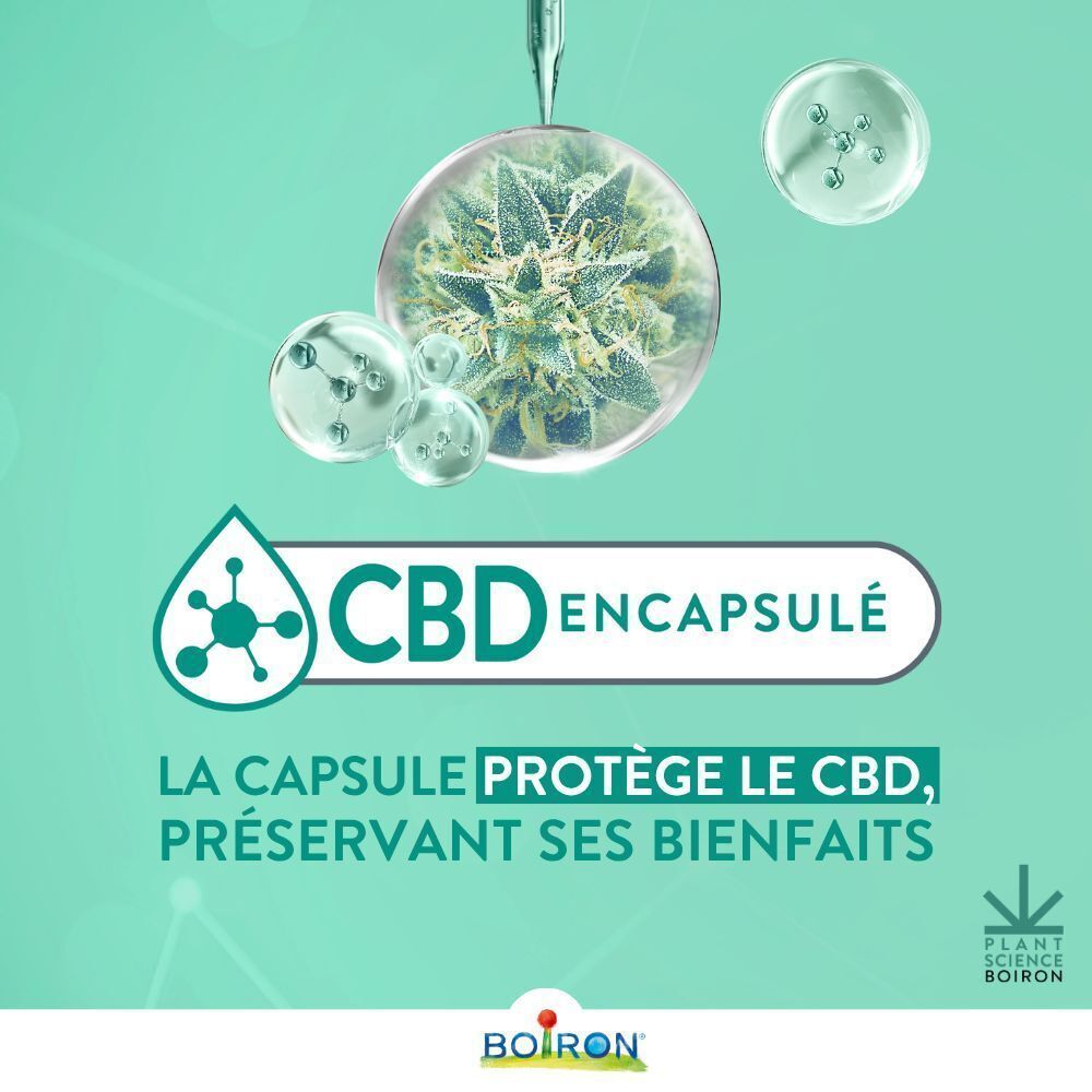 Graphique avec capsule de CBD. Texte: La capsule protège le CBD, préservant ses bienfaits.