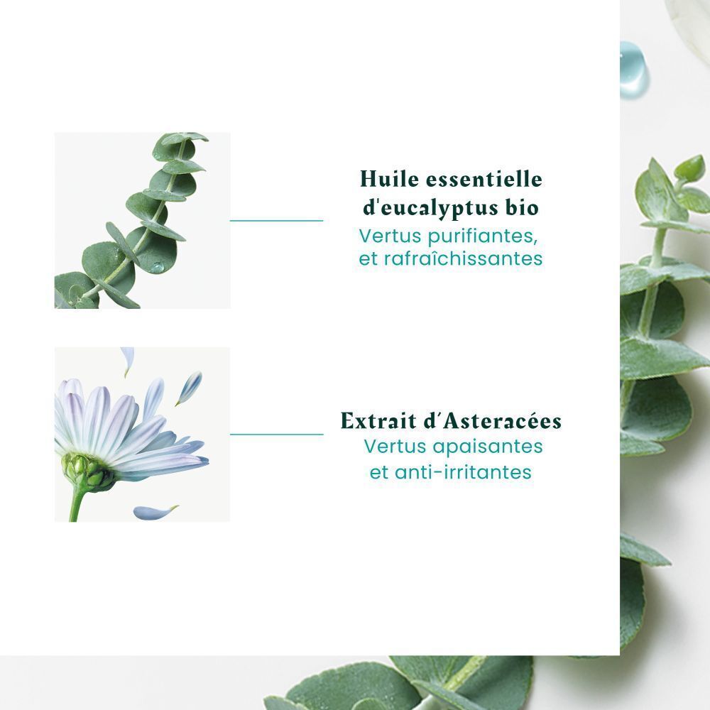 René Furterer Head Spa Astera | Concentré Apaisant fraîcheur & pureté | huiles essentielles