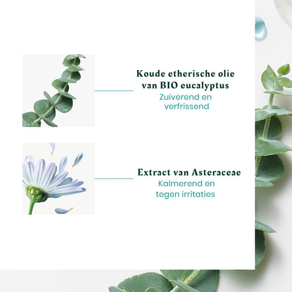 René Furterer Head Spa Astera | Verzachtend concentraat frisheid & zuiverheid | essentiële oliën