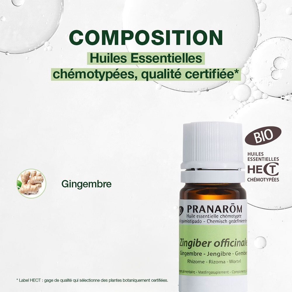 Huile essentielle de gingembre bio Pranarôm : composition et flacon.