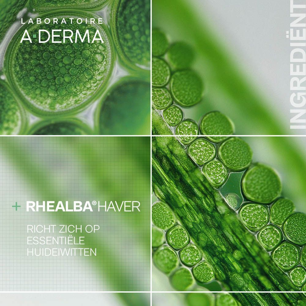 A-Derma Essentiële Verzorgingen Lippenstick met Rhealba Havermelk | Fragiele | droge lippen