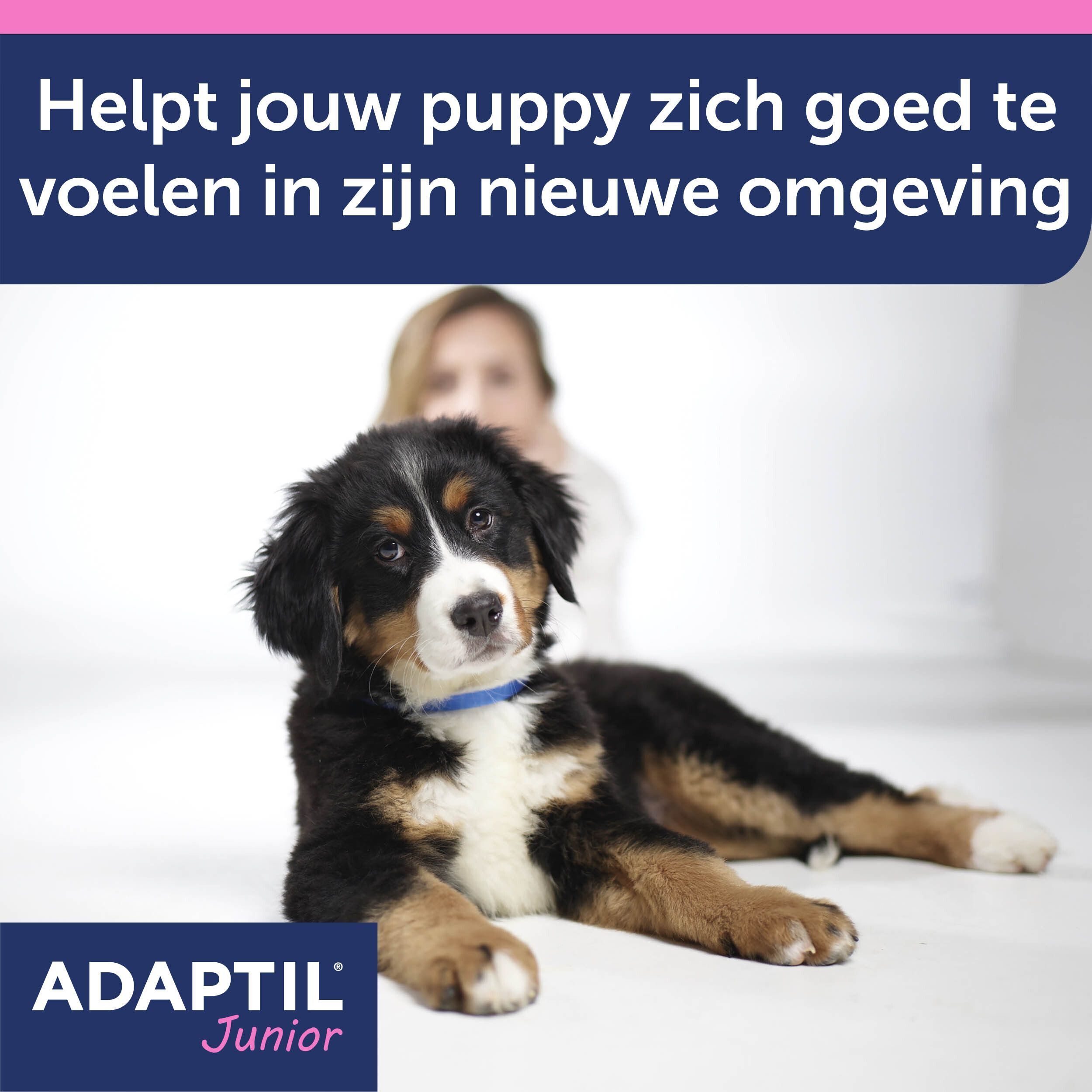 Adaptil Halsband Junior
