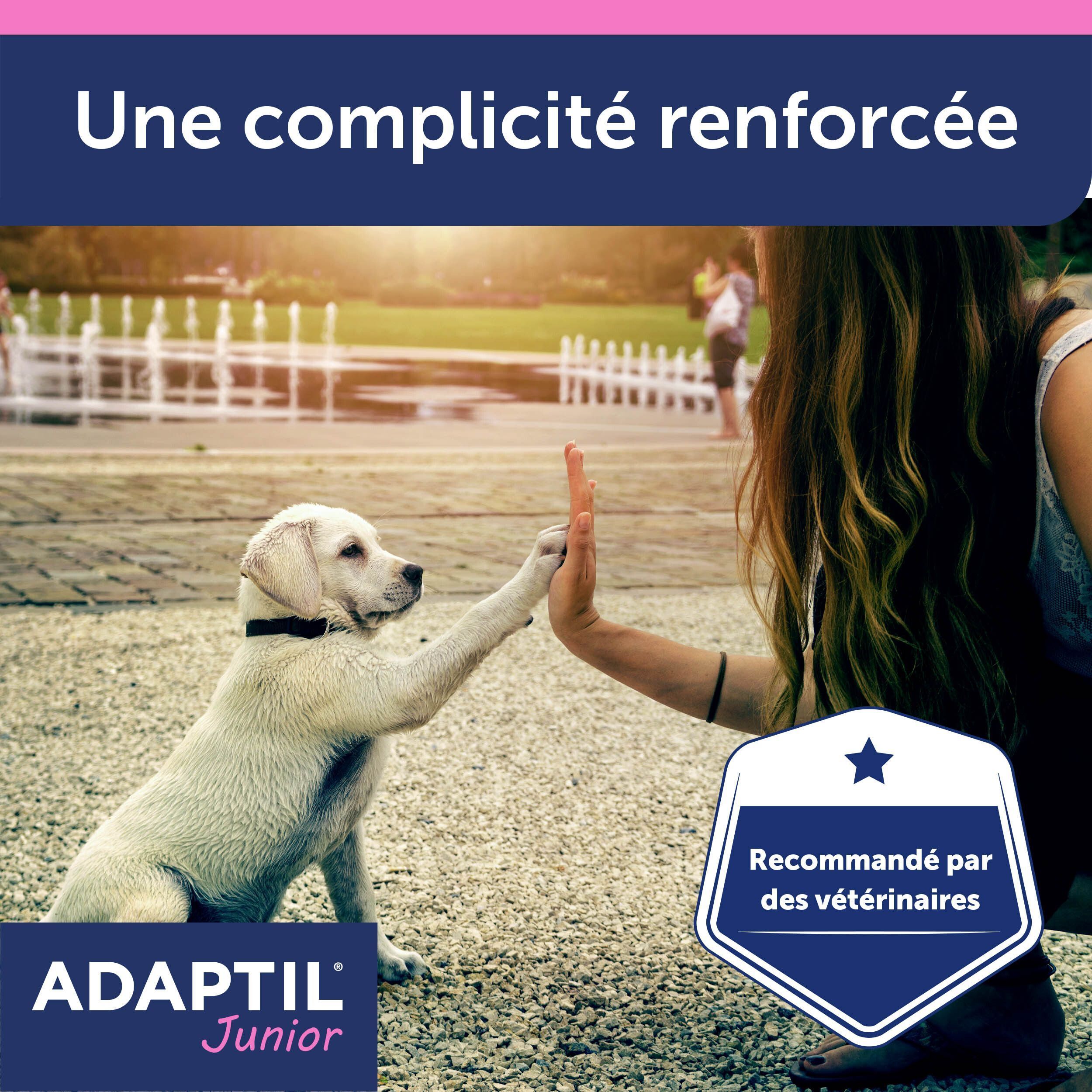 Adaptil Collier Chien Junior