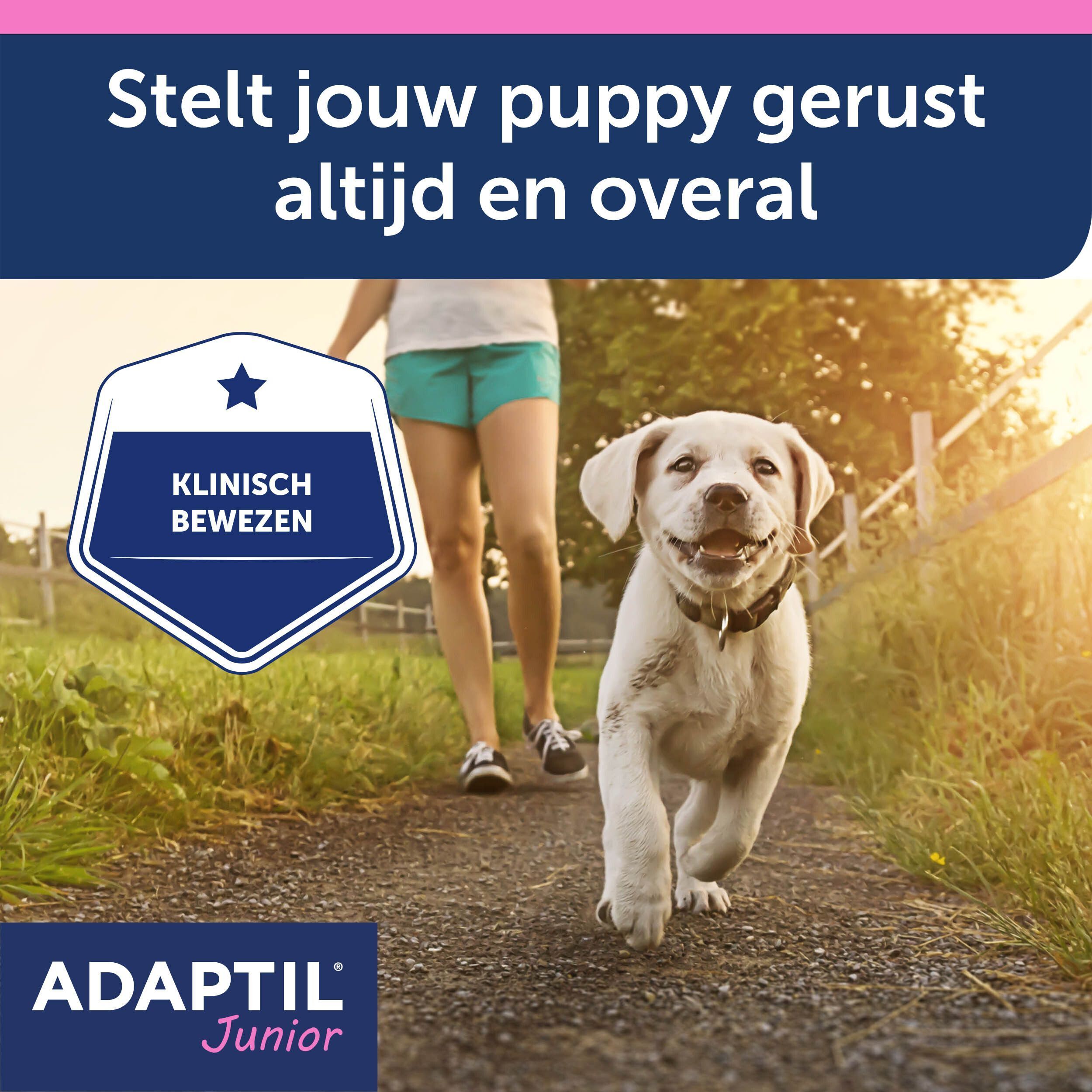Adaptil Halsband Junior