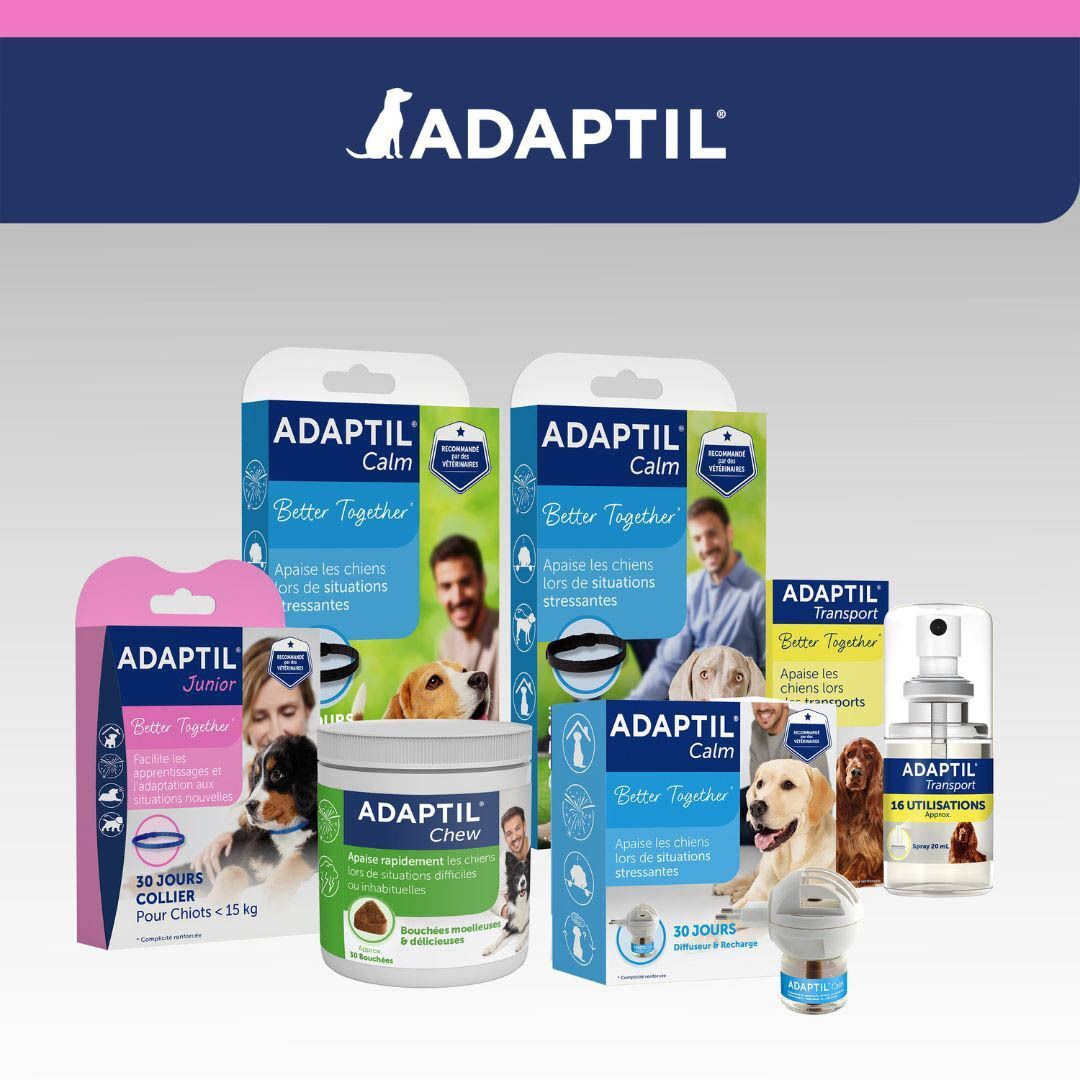 Adaptil Collier Chien Junior
