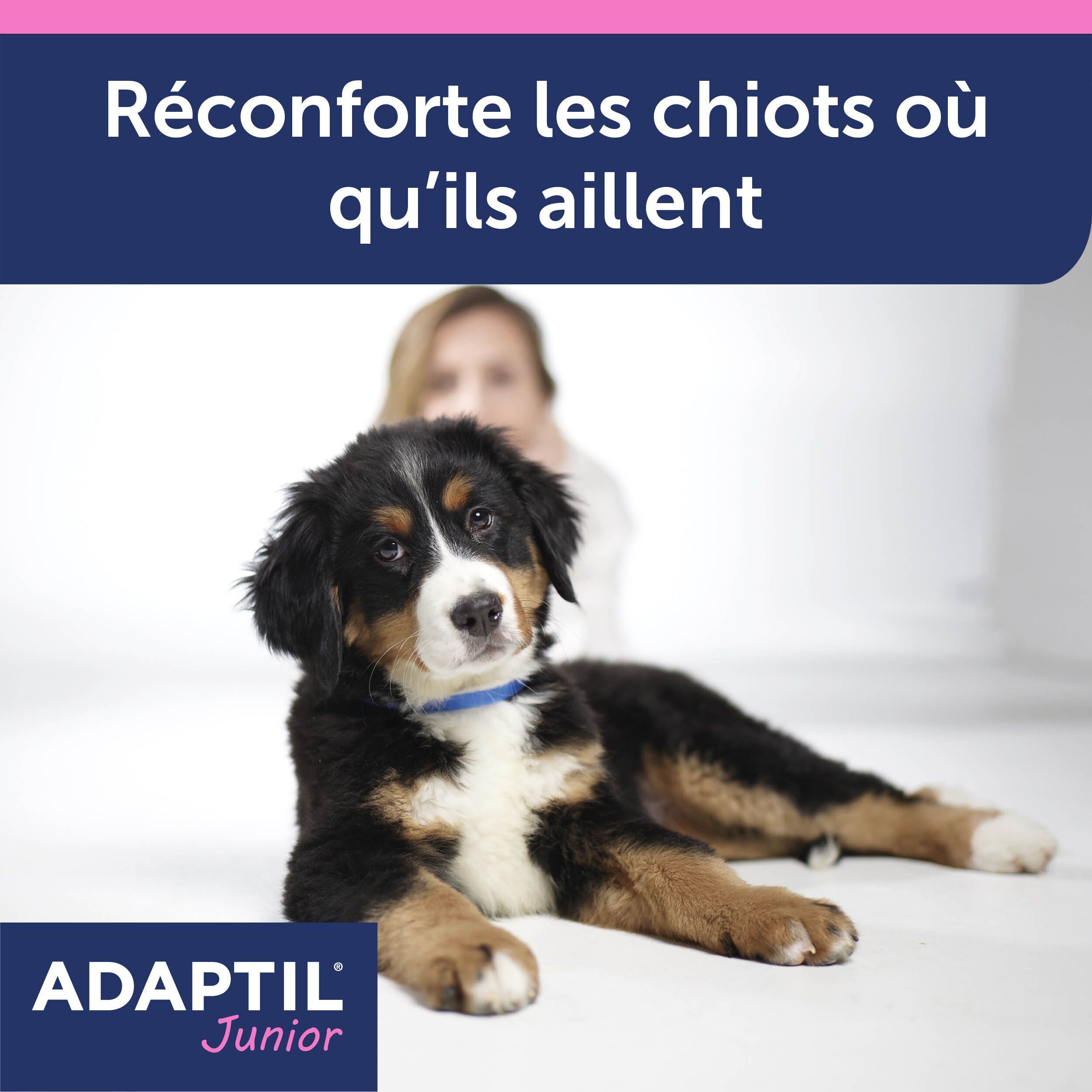 Adaptil Collier Chien Junior